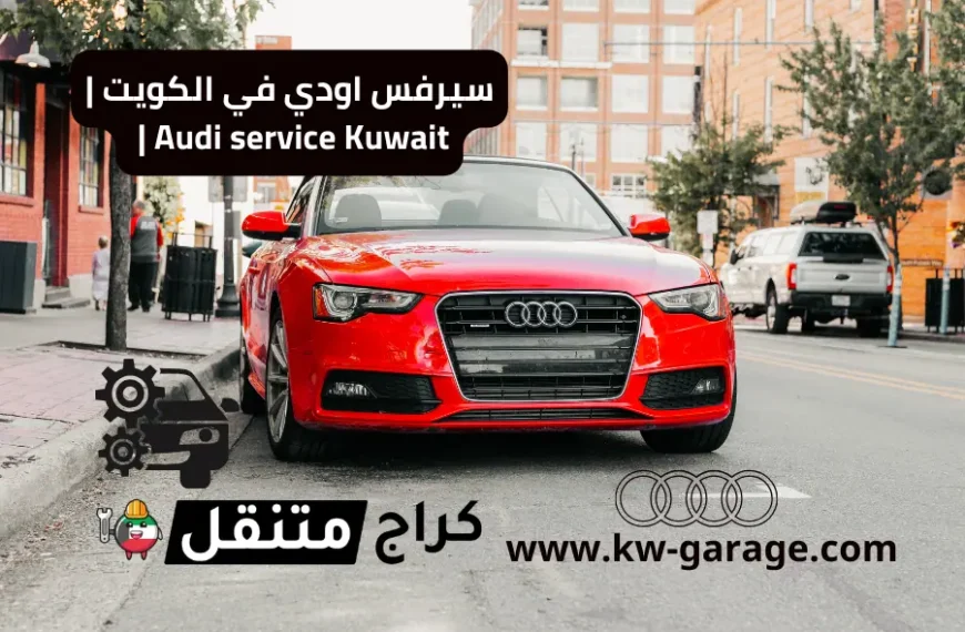 سيرفس اودي